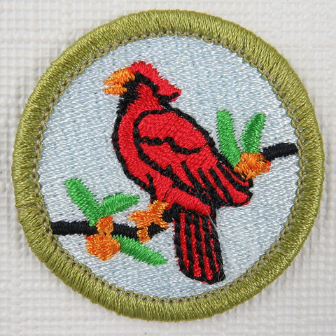Bird Study Current Issue Design Plastic Back Merit Badge [MB-117]