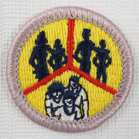Family Life (Silver) Current Issue Design Plastic Back Merit Badge [MB-446]