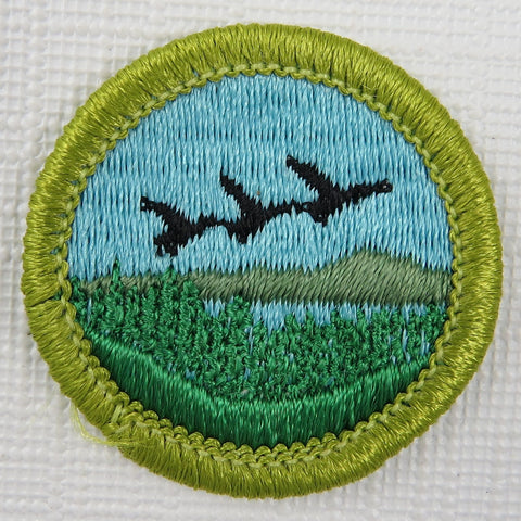 Fish and Wildlife Management Current Issue Design Plastic Back Merit Badge [MB-450]